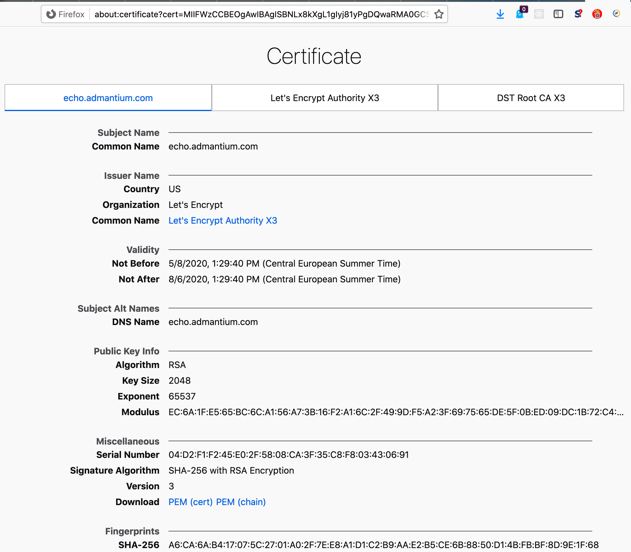 echo_server_in_browser2